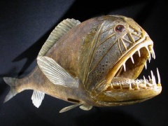 8913558,pd=4,w=533,mxw=600,mxh=400,h=400[1]