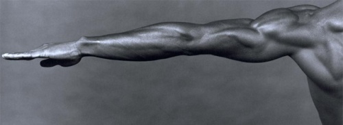 mapplethorpe