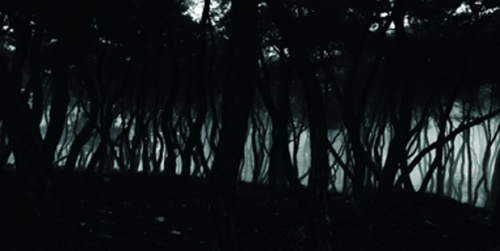 9783775722834-p04-web