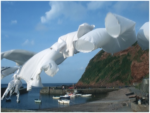 21926376_PennandieUnterwschedesLOCALHERO