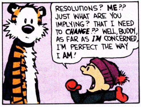 calvin+hobbes new yeR
