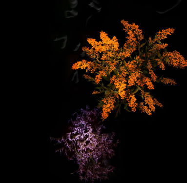 flower-firework-sarah-illenberger-sabrina-rynas-designboom-10