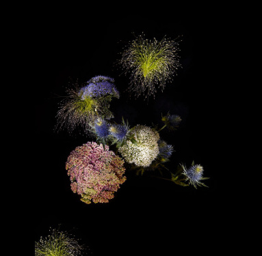 flower-firework-sarah-illenberger-sabrina-rynas-designboom-11