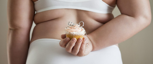 n-FAT-SHAME-large570