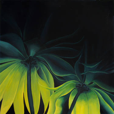 yellow flowers Barry Grose