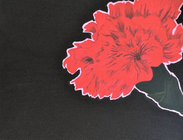 red carnation Leora Baranes