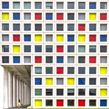 Entering the looking-glass Paul Brouns