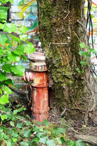 baumhydrant