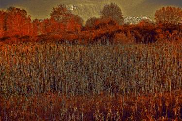 Rusty Landscape Pavel Rehurek