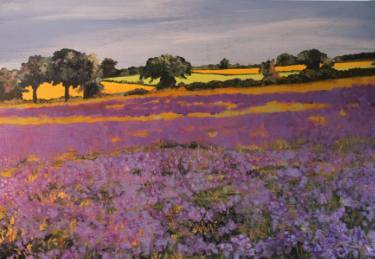 Lavender Fields Forever Ken Vrana