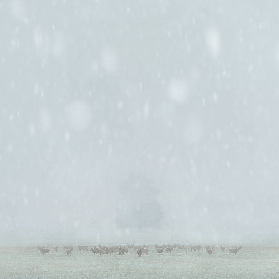 Luke Austin/The International Landscape Photographer of the Year