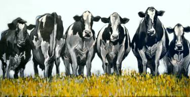 Fernando Toledo Cows