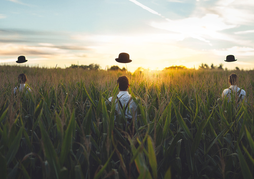 logan zillmer cornfield sunset