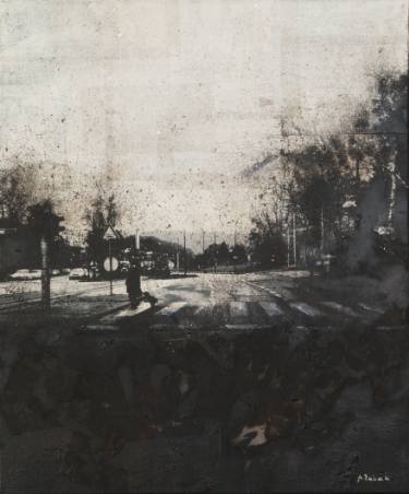 Zebra on Zvijezda Marko Zubak