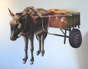 aniaml donkey robert schmidt