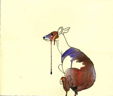 animal drain I hannah ward