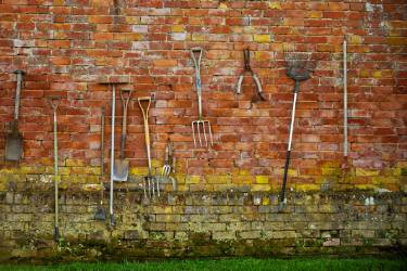 g allotments michael marker