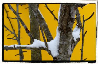 g an easy breeze and velutinous eric bluechel