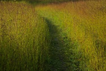 g come with me andre baranowski