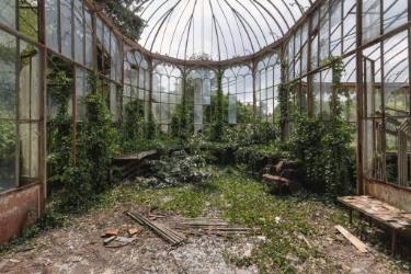 g green in peace ernest sebastien