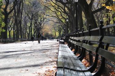 g harmony misha Dontsov