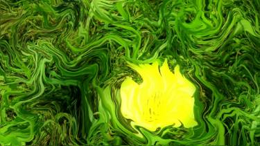 g L6 Wild  Juvenal Garza