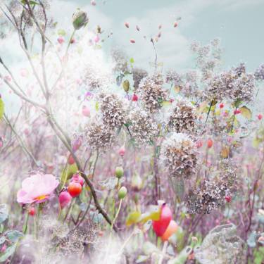 g morning glow #1 agnieszka maria zieba