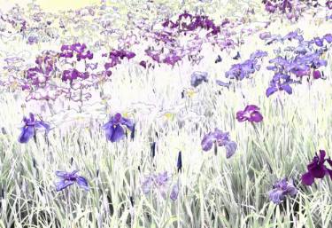 g sensation renaud doyen