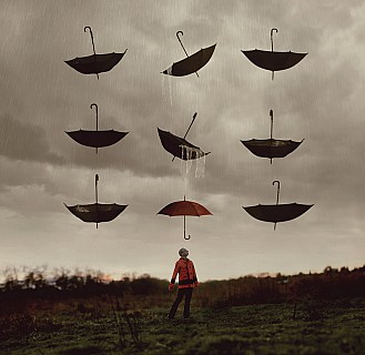 joel robison sheltered