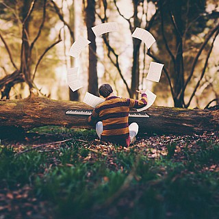 joel robison songs of the woodland