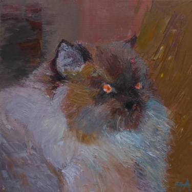 c cat with orange eyes irena jablonski