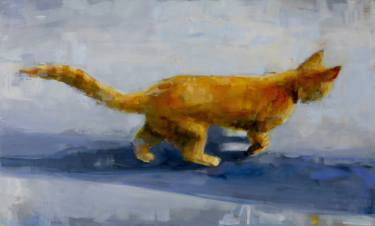 c zenzero gatto jonathan hargreaves