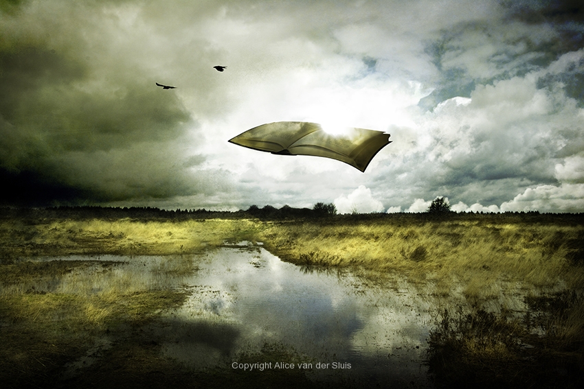 can-you-imagine-72dpi