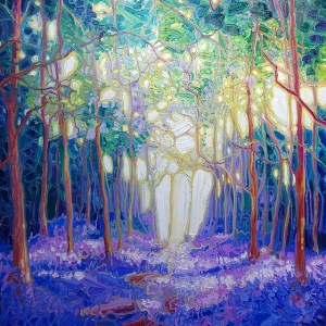 escape-throug-the-bluebell-wood