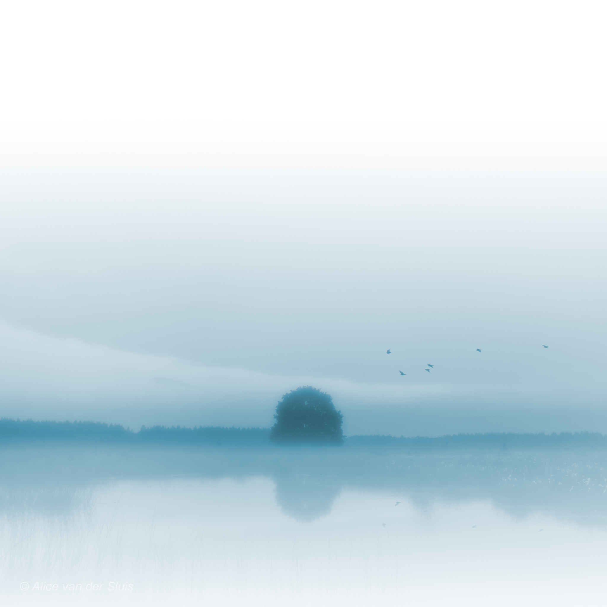 lost-in-a-daydream-2048-px-c