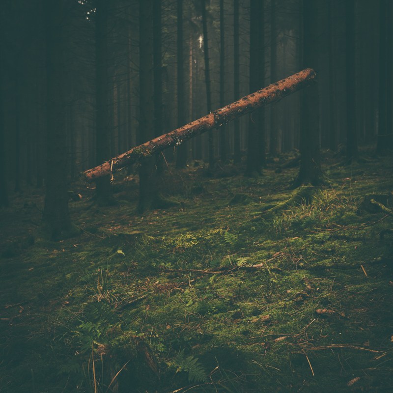 rem_04 Florian Müller