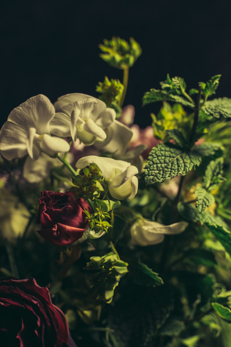 rosebuddy-04 Florian Müller