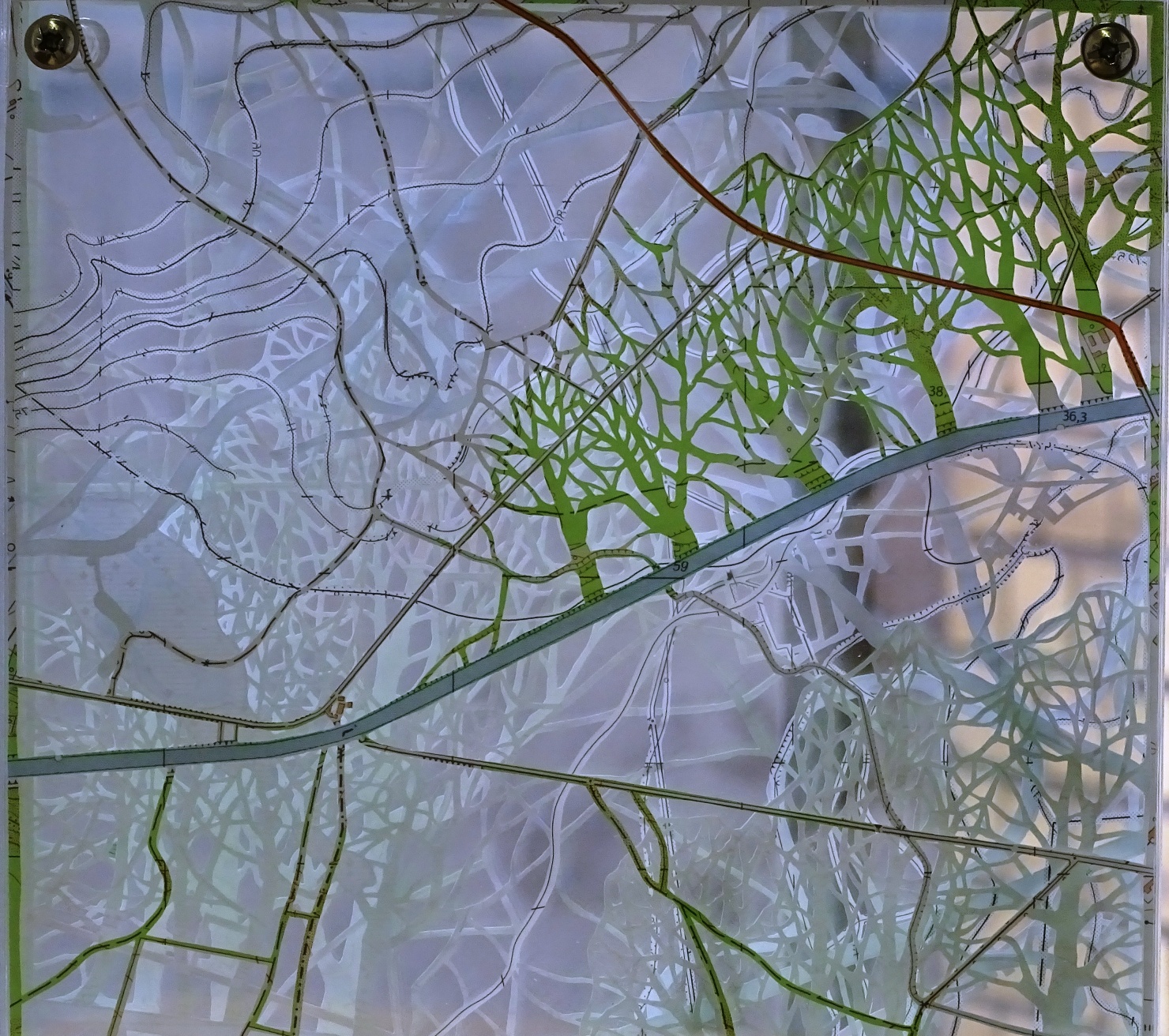 Anett Münnich Paperworks, verwurzelt