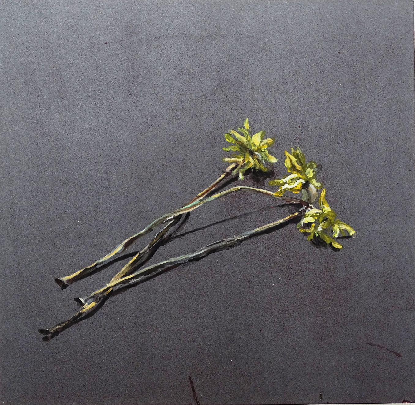 Matthieu Séry Untitled