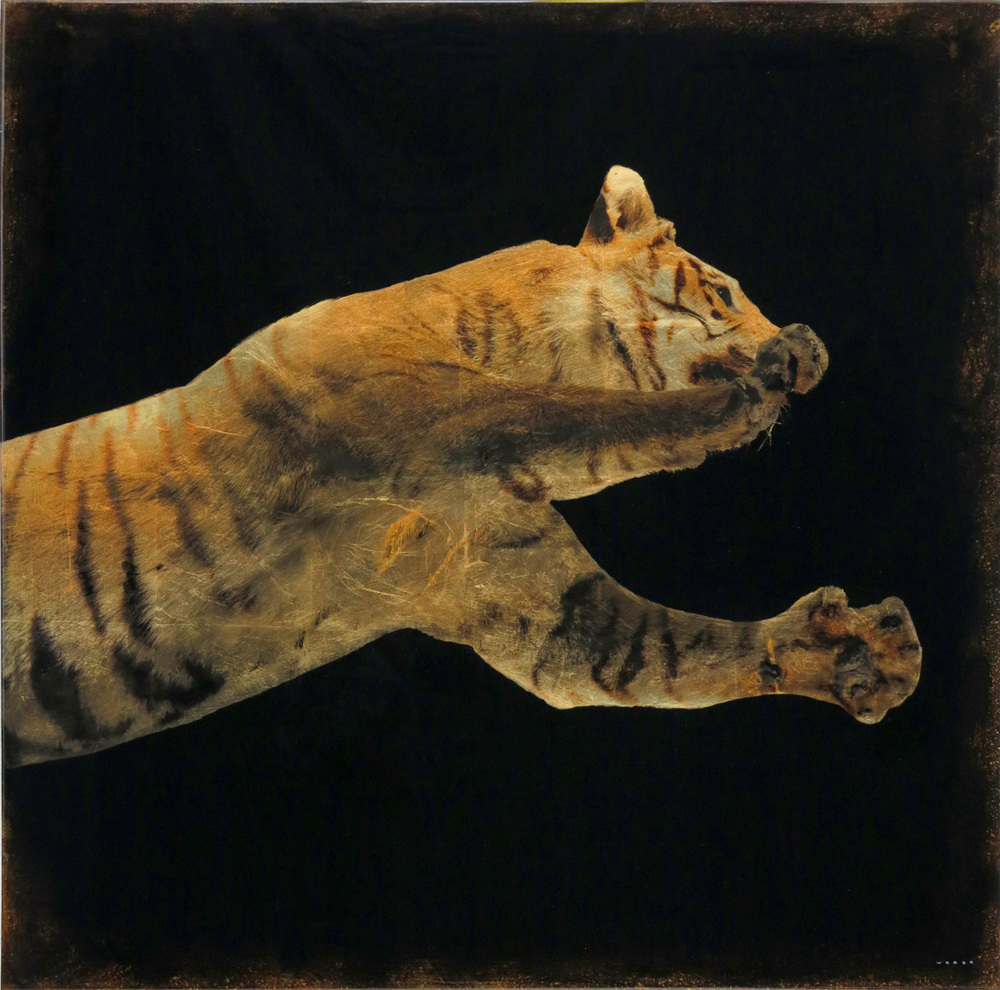 leaping tiger