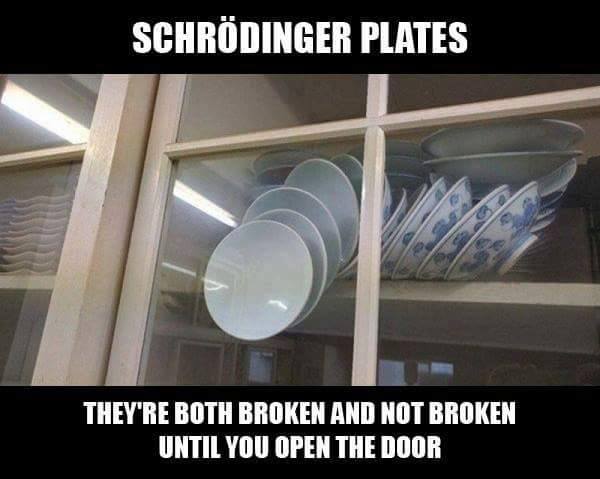 schrödingers plates