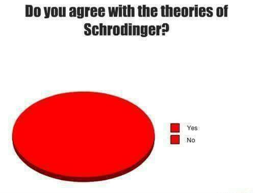 schrödinger theories