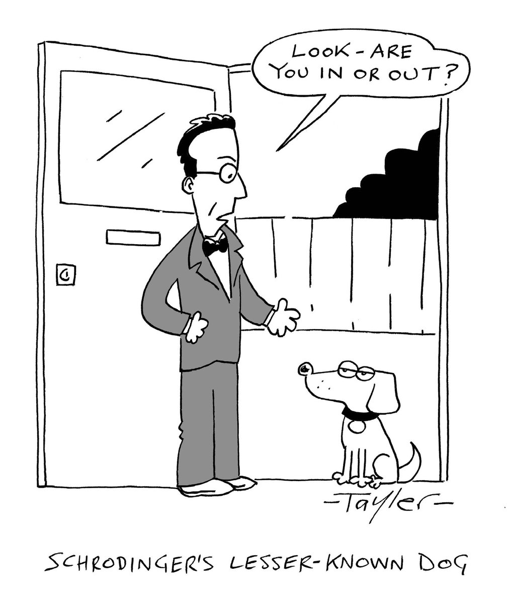 schrodingers lesser known dog