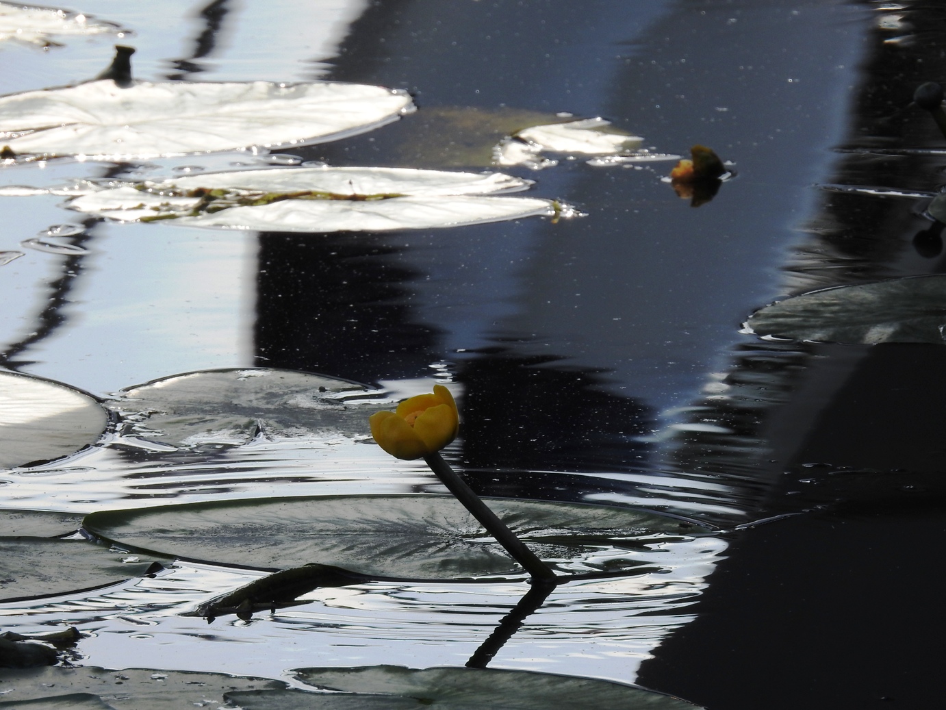 riverside – floatsome